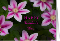Happy Mother’s Day Anyone with Pretty Pink Painterly Clematis Flowers card