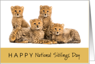 Happy National Siblings Day April 10 with Four Cute Cheetahs card