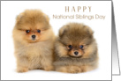 Happy National Siblings Day with Two Adorable Pomeranian Puppies card