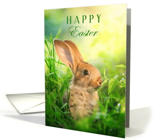 Happy Easter with an Adorable Bunny Rabbit in the Grass card (1758484)