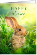 Happy Easter with an Adorable Bunny Rabbit in the Grass card