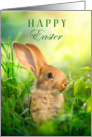 Happy Easter with an Adorable Bunny Rabbit in the Grass card