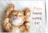 Happy National Napping Day March 13 with Cute Sleeping Kitten card
