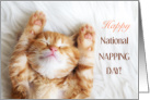 Happy National Napping Day March 13 with Cute Sleeping Kitten card