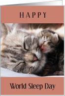 Happy World Sleep Day March with Exhausted Mother Cat and Tiny Baby Kitten card