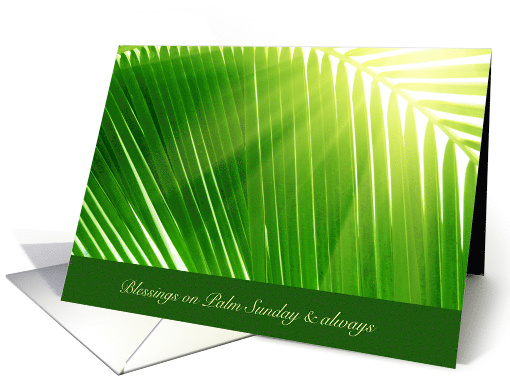 Blessings on Palm Sunday and Always with God Beams and... (1762638)