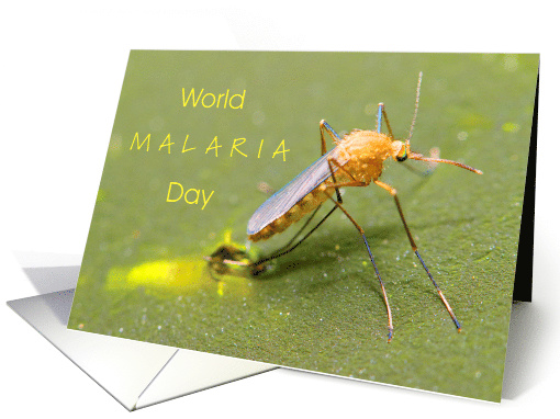 World Malaria Day April 25 with Female Mosquito Closeup card (1763506)