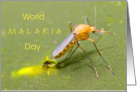 World Malaria Day April 25 with Female Mosquito Closeup card