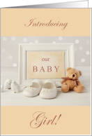 Introducing Our Baby Gril Sip and See Invitation card