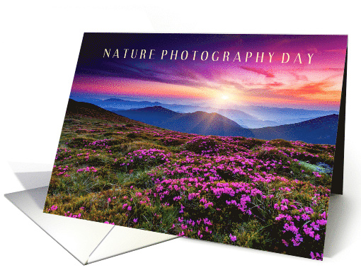 Nature Photography Day June 15 with Pretty Landscape... (1767820)