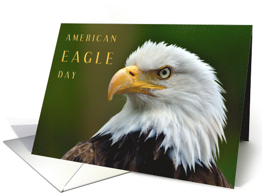 American Eagle Day June 20 with Closeup Photo of Bald Eagle card