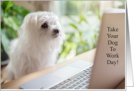 Take Your Dog To Work Day with Cute Puppy at Desk with Laptop card