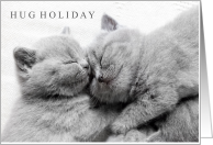 Hug Holiday June 29 with 2 Adorable Kittens card