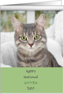 Happy National Kitten Day July 10 with Adorable Gray Kitty Cat card