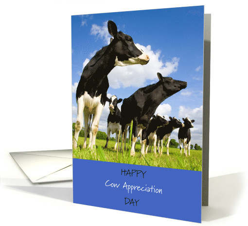 Happy Cow Appreciation Day July 14 with Cows in Field card (1771892)
