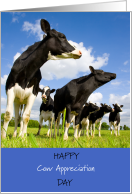 Happy Cow Appreciation Day July 14 with Cows in Field card