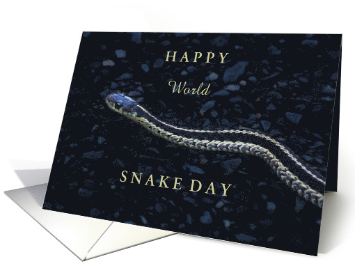 World Snake Day July 16 with Cute Garden Snake Photo card (1771932)