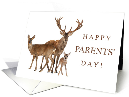 Happy Parents' Day July 25 with Buck Doe and Fawn Deer Family card
