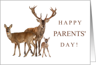 Happy Parents’ Day July 25 with Buck Doe and Fawn Deer Family card
