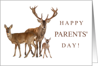 Happy Parents' Day...