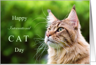 Happy International Cat Day August 8 with Cute Cat card