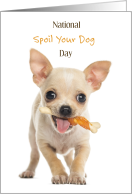 National Spoil Your Dog Day August 10 with Cute Chihuahua with Bone card