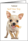 National Spoil Your Dog Day August 10 with Cute Chihuahua with Bone card