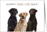 Happy Middle Child Day August 12 with Labrabor Dogs card