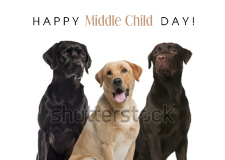 Happy Middle Child Day August 12 with Labrabor Dogs