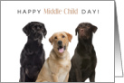 Happy Middle Child Day August 12 with Labrabor Dogs card