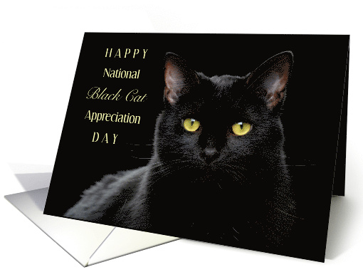 Happy National Black Cat Appreciation Day August 17 with Cute Cat card