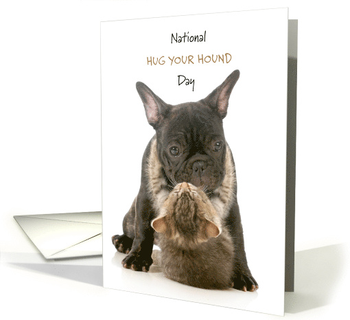 National Hug Your Hound Day Sept 11 with Hugging Cat and... (1786452)
