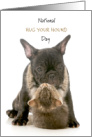 National Hug Your Hound Day Sept 11 with Hugging Cat and French Bulldog card