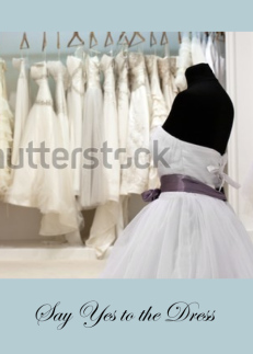 Say Yes to the Dress Cousin Any Relation Wedding Gown Shopping