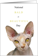 National Bald is Beautiful Day September 13 with Hairless Cat card