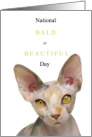 National Bald is Beautiful Day September 13 with Hairless Cat card