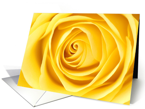 World Rose Day September 22 with Yellow Flower Closeup card (1794556)