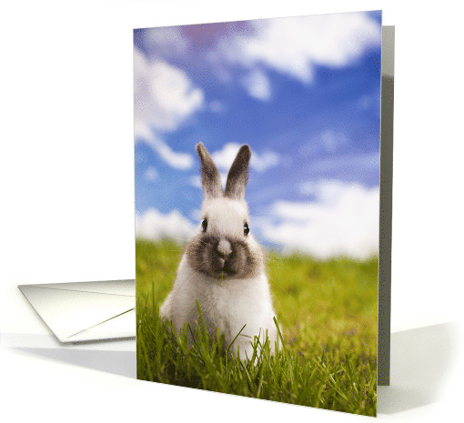 Happy International Rabbit Day September 24 with Adorable Bunny card