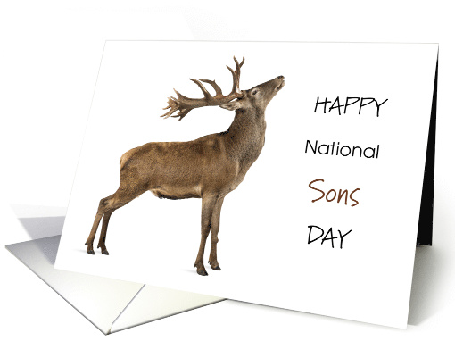 Happy National Sons Day September 28 with Deer Stag Buck card