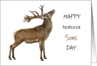 Happy National Sons Day September 28 with Deer Stag Buck card