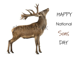 Happy National Sons...