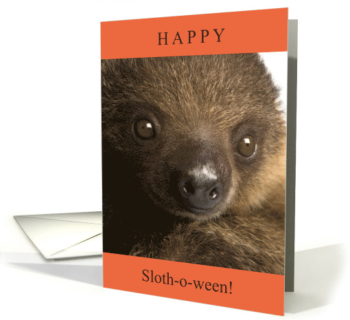 Happy Halloween Slothoween with Cute Baby Sloth Photo card (1797422)