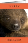 Happy Halloween Slothoween with Cute Baby Sloth Photo card
