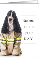 National Fire Pup...