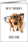 Best Wishes Doc on Your Retirement with Dachshund Wearing Stethoscope card