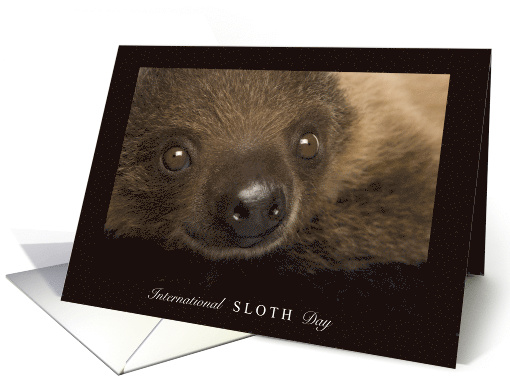 International Sloth Day 3rd Saturday in October with Cute... (1800816)