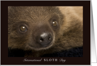 International Sloth Day 3rd Saturday in October with Cute Baby Two Toed card