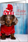 Happy Holidays Christmas with Dachshund Wearing a Hat and Sweater card