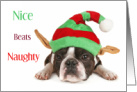 Nice Beats Naughty with Boston Terrier Puppy Dog in Elf Hat card
