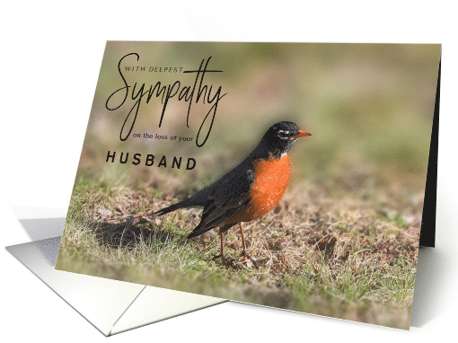 With Deepest Sympathy on the Loss of Any Relation with Robin Bird card